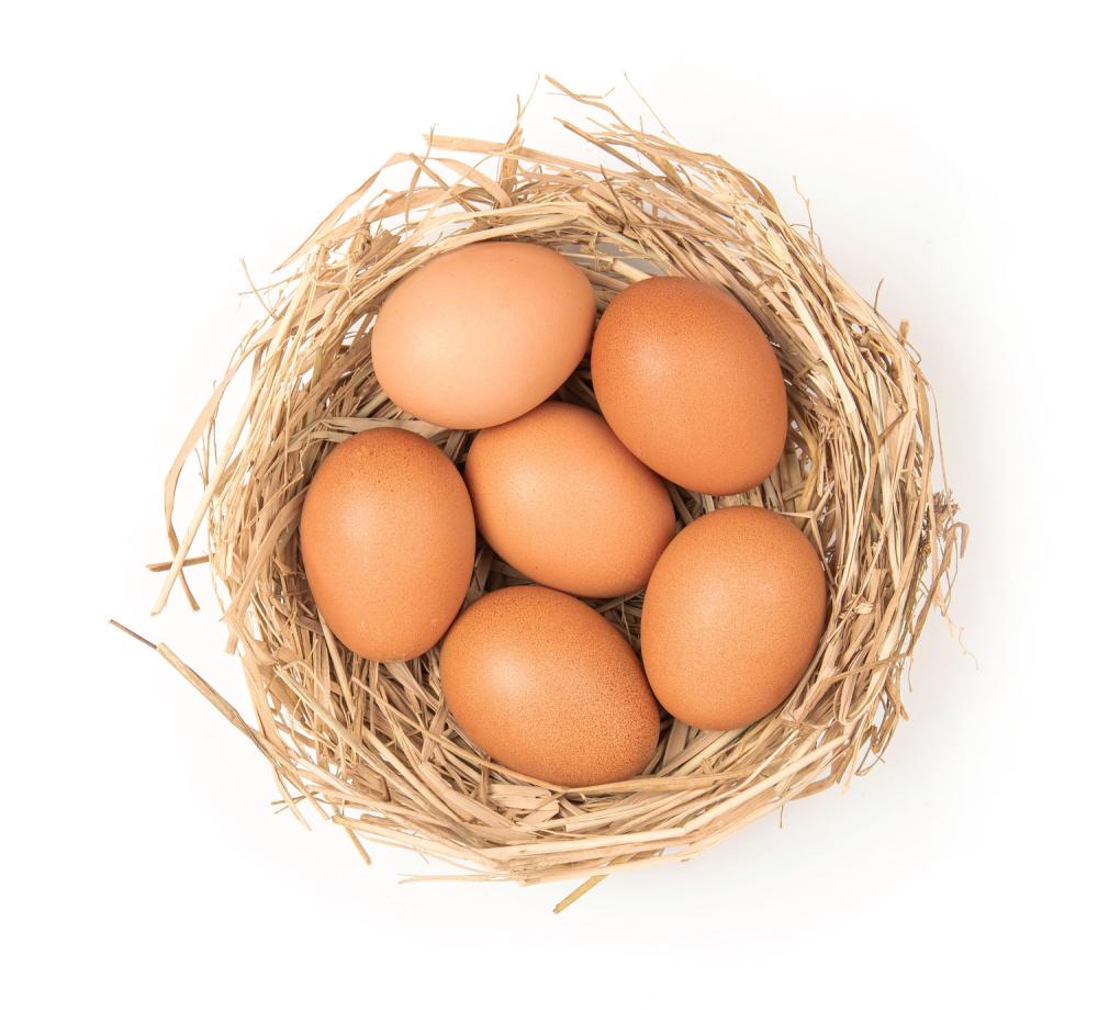 oeufs oeufs